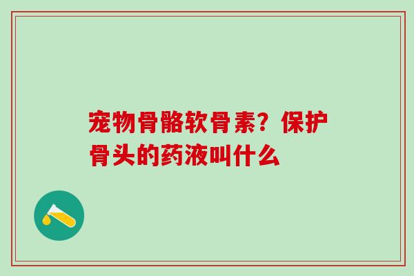 宠物骨骼软骨素？保护骨头的药液叫什么