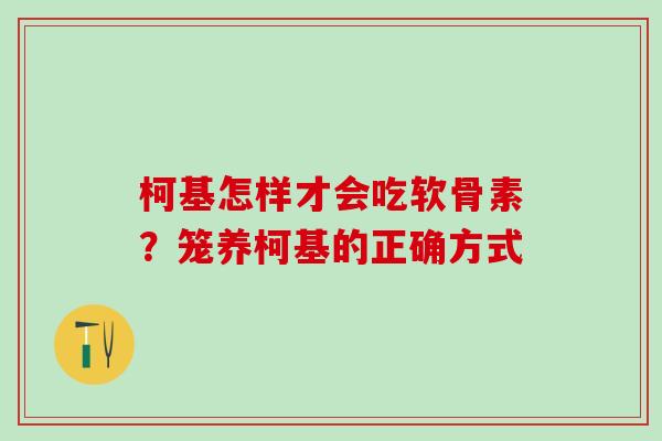 柯基怎样才会吃软骨素？笼养柯基的正确方式
