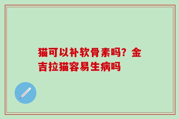 猫可以补软骨素吗？金吉拉猫容易生病吗