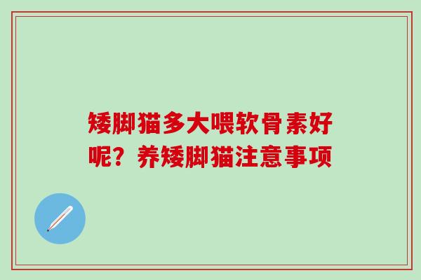 矮脚猫多大喂软骨素好呢？养矮脚猫注意事项