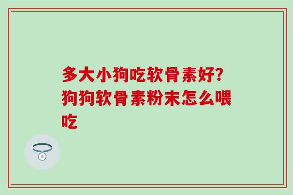 多大小狗吃软骨素好？狗狗软骨素粉末怎么喂吃