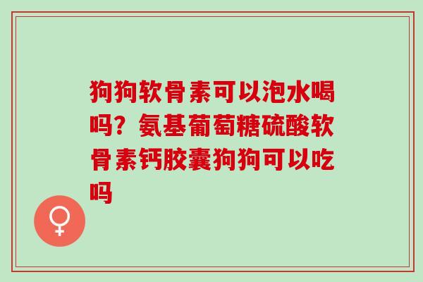 狗狗软骨素可以泡水喝吗？氨基葡萄糖硫酸软骨素钙胶囊狗狗可以吃吗