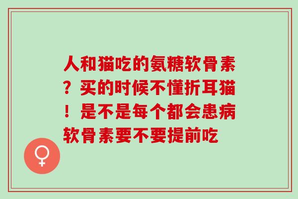 人和猫吃的氨糖软骨素？买的时候不懂折耳猫！是不是每个都会患病软骨素要不要提前吃