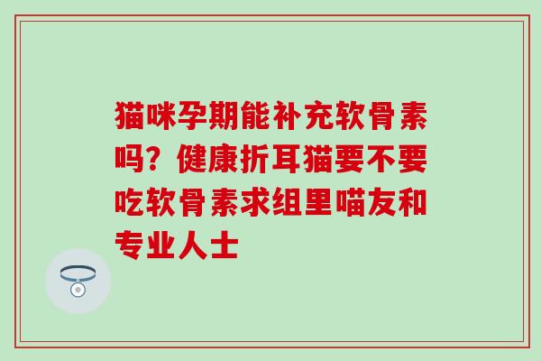 猫咪孕期能补充软骨素吗？健康折耳猫要不要吃软骨素求组里喵友和专业人士