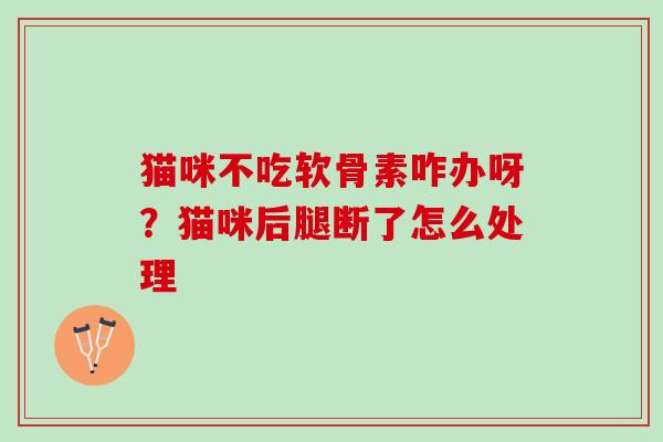 猫咪不吃软骨素咋办呀？猫咪后腿断了怎么处理