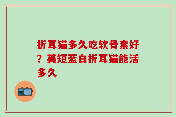 折耳猫多久吃软骨素好?英短蓝白折耳猫能活多久 折耳猫多久吃软骨素好?英短蓝白折耳猫能活多久