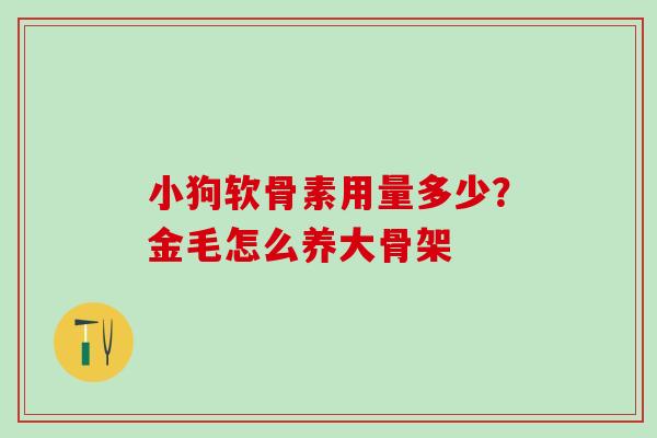 小狗软骨素用量多少？金毛怎么养大骨架