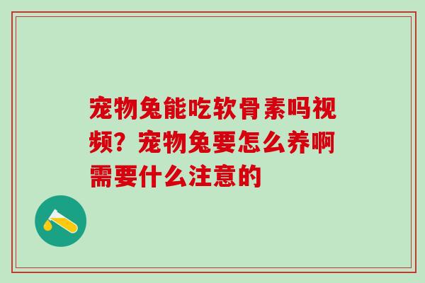 宠物兔能吃软骨素吗视频？宠物兔要怎么养啊需要什么注意的