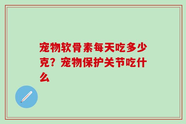 宠物软骨素每天吃多少克？宠物保护关节吃什么