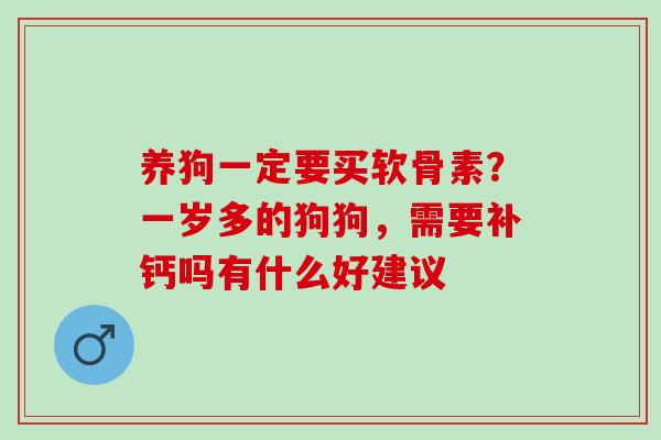 养狗一定要买软骨素？一岁多的狗狗，需要补钙吗有什么好建议