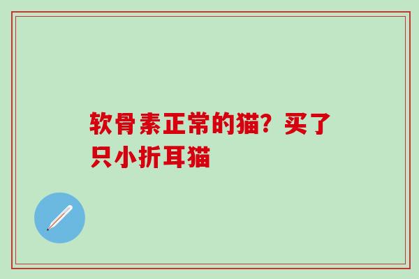 软骨素正常的猫？买了只小折耳猫