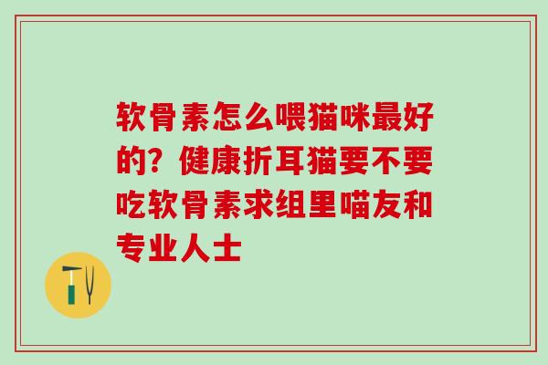 软骨素怎么喂猫咪最好的？健康折耳猫要不要吃软骨素求组里喵友和专业人士