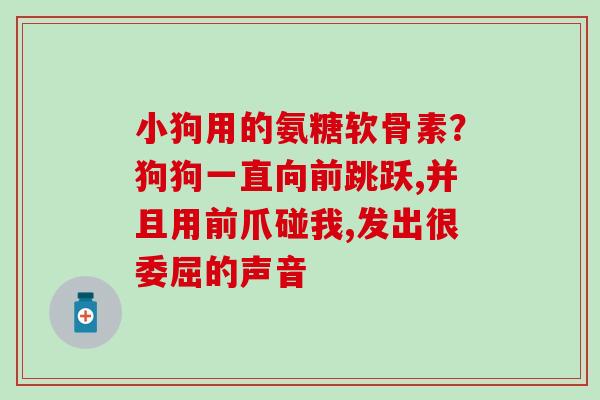 小狗用的氨糖软骨素？狗狗一直向前跳跃,并且用前爪碰我,发出很委屈的声音