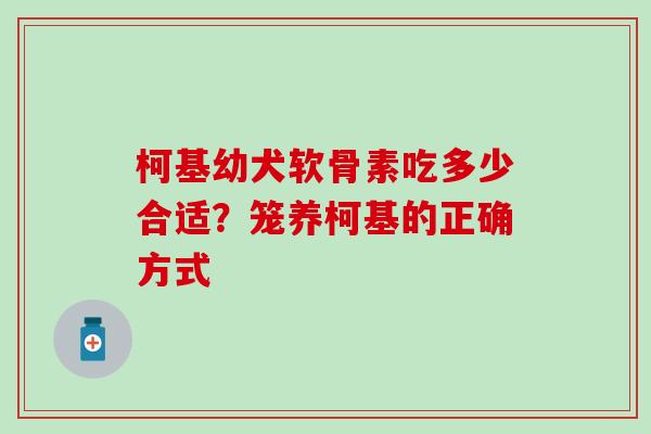 柯基幼犬软骨素吃多少合适？笼养柯基的正确方式