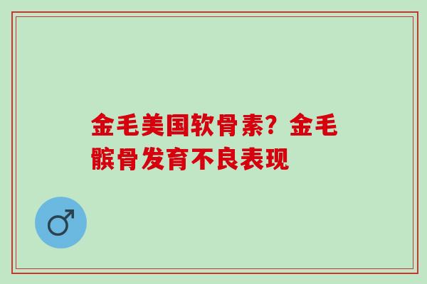 金毛美国软骨素？金毛髌骨发育不良表现