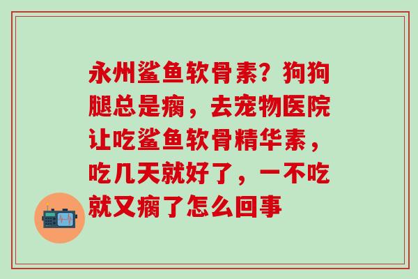 永州鲨鱼软骨素？狗狗腿总是瘸，去宠物医院让吃鲨鱼软骨精华素，吃几天就好了，一不吃就又瘸了怎么回事