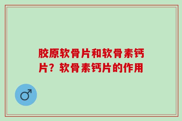 胶原软骨片和软骨素钙片?软骨素钙片的作用 胶原软骨片和软骨素钙片?软骨素钙片的作用