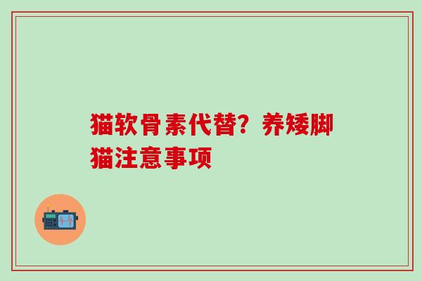 猫软骨素代替？养矮脚猫注意事项
