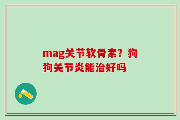 mag关节软骨素？狗狗关节炎能治好吗