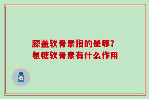 膝盖软骨素指的是哪？氨糖软骨素有什么作用