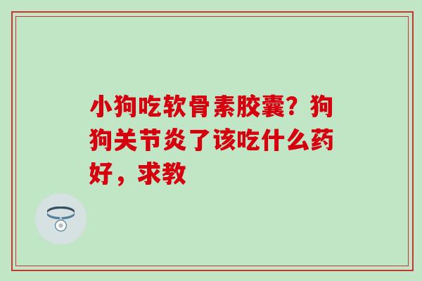 小狗吃软骨素胶囊？狗狗关节炎了该吃什么药好，求教