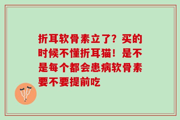 折耳软骨素立了？买的时候不懂折耳猫！是不是每个都会患病软骨素要不要提前吃