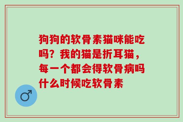 狗狗的软骨素猫咪能吃吗？我的猫是折耳猫，每一个都会得软骨病吗什么时候吃软骨素