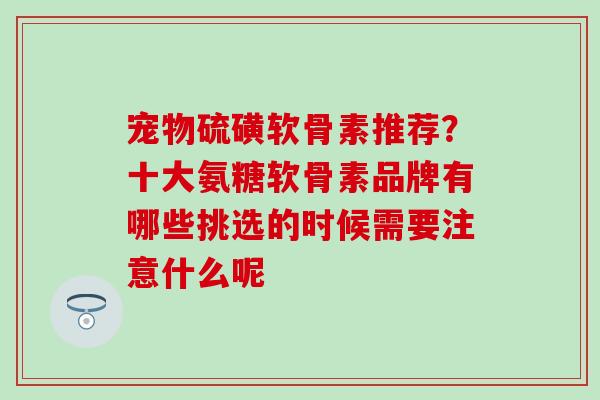 宠物硫磺软骨素推荐？十大氨糖软骨素品牌有哪些挑选的时候需要注意什么呢