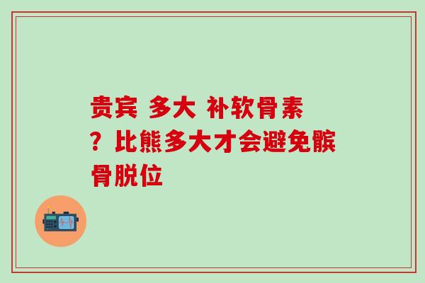 贵宾 多大 补软骨素？比熊多大才会避免髌骨脱位