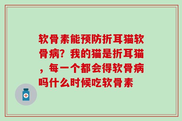 软骨素能预防折耳猫软骨病？我的猫是折耳猫，每一个都会得软骨病吗什么时候吃软骨素