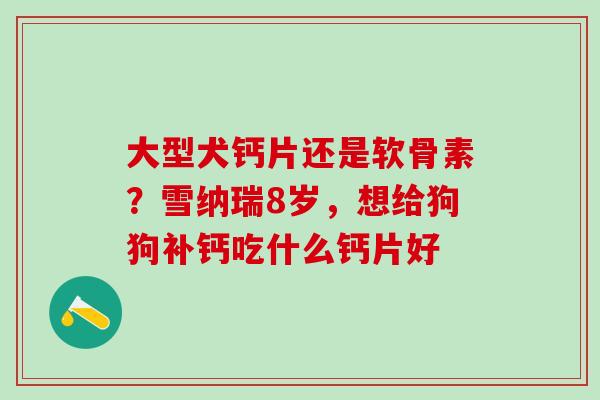 大型犬钙片还是软骨素？雪纳瑞8岁，想给狗狗补钙吃什么钙片好