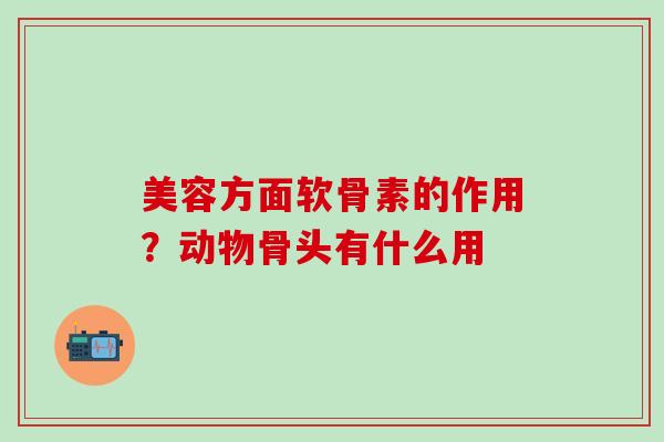 美容方面软骨素的作用？动物骨头有什么用