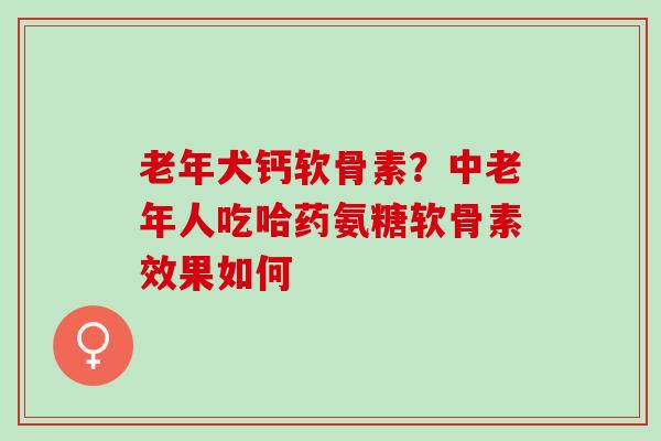 老年犬钙软骨素？中老年人吃哈药氨糖软骨素效果如何
