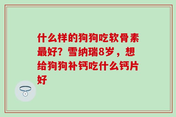 什么样的狗狗吃软骨素最好？雪纳瑞8岁，想给狗狗补钙吃什么钙片好