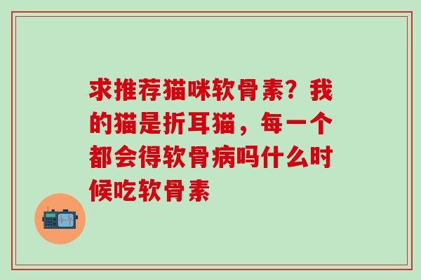 求推荐猫咪软骨素？我的猫是折耳猫，每一个都会得软骨病吗什么时候吃软骨素