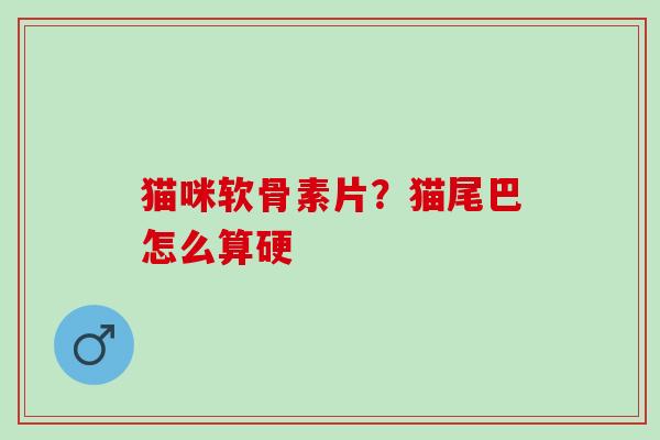 猫咪软骨素片？猫尾巴怎么算硬