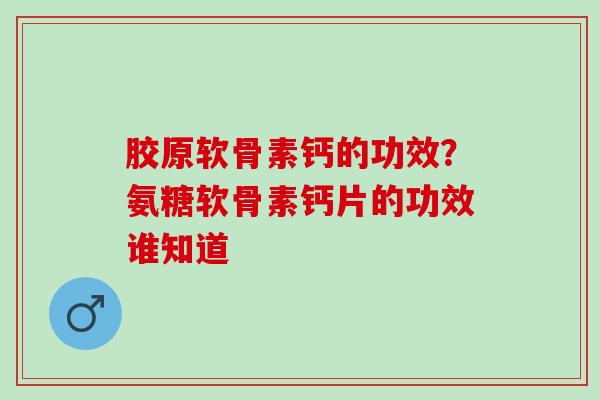 胶原软骨素钙的功效？氨糖软骨素钙片的功效谁知道