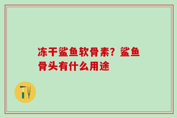 冻干鲨鱼软骨素？鲨鱼骨头有什么用途