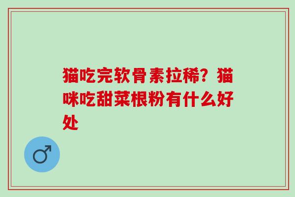 猫吃完软骨素拉稀？猫咪吃甜菜根粉有什么好处