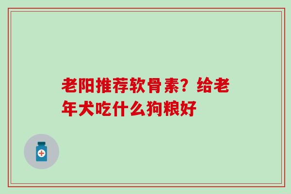老阳推荐软骨素？给老年犬吃什么狗粮好