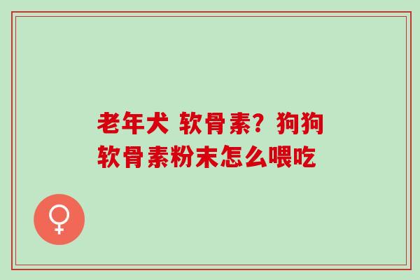 老年犬 软骨素？狗狗软骨素粉末怎么喂吃