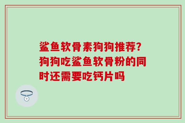 鲨鱼软骨素狗狗推荐？狗狗吃鲨鱼软骨粉的同时还需要吃钙片吗
