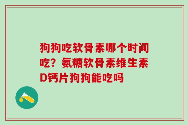 狗狗吃软骨素哪个时间吃？氨糖软骨素维生素D钙片狗狗能吃吗