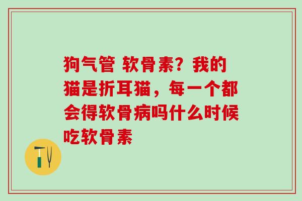 狗气管 软骨素？我的猫是折耳猫，每一个都会得软骨病吗什么时候吃软骨素