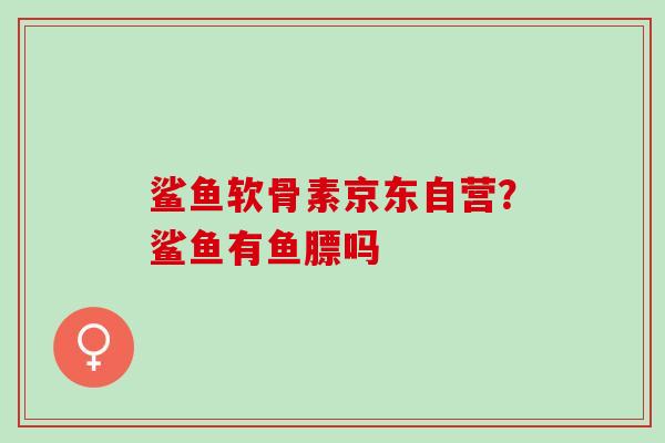 鲨鱼软骨素京东自营？鲨鱼有鱼膘吗