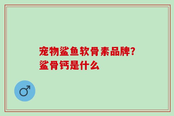 宠物鲨鱼软骨素品牌？鲨骨钙是什么
