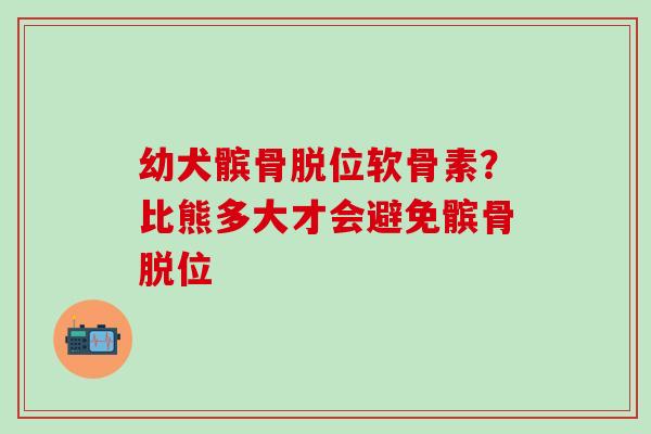 幼犬髌骨脱位软骨素？比熊多大才会避免髌骨脱位