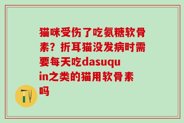 猫咪受伤了吃氨糖软骨素？折耳猫没发病时需要每天吃dasuquin之类的猫用软骨素吗