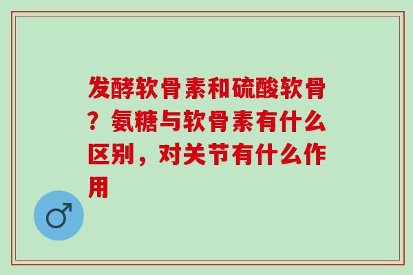 发酵软骨素和硫酸软骨？氨糖与软骨素有什么区别，对关节有什么作用
