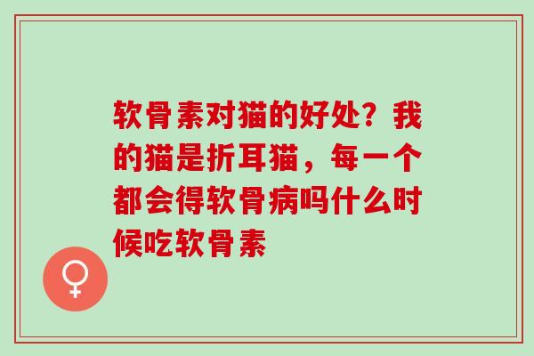 软骨素对猫的好处?我的猫是折耳猫,每一个都会得软骨吗什么时候吃软骨素 软骨素对猫的好处?我的猫是折耳猫,每一个都会得软骨吗什么时候吃软骨素
